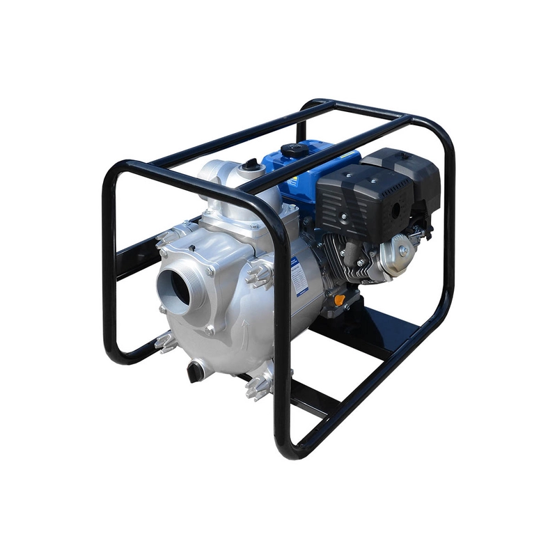 Мотопомпа бензиновая TSS PGST100