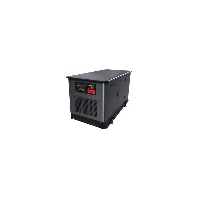 Газовый генератор Mirkon Energy MKG31T с АВР