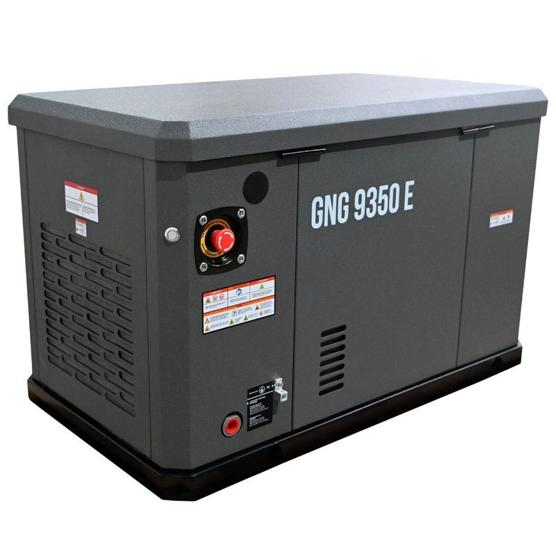 Газовый генератор EVOline GNG 9350 E